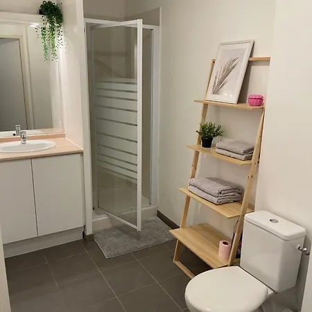 T1 Proche Airbus 公寓 科洛米耶